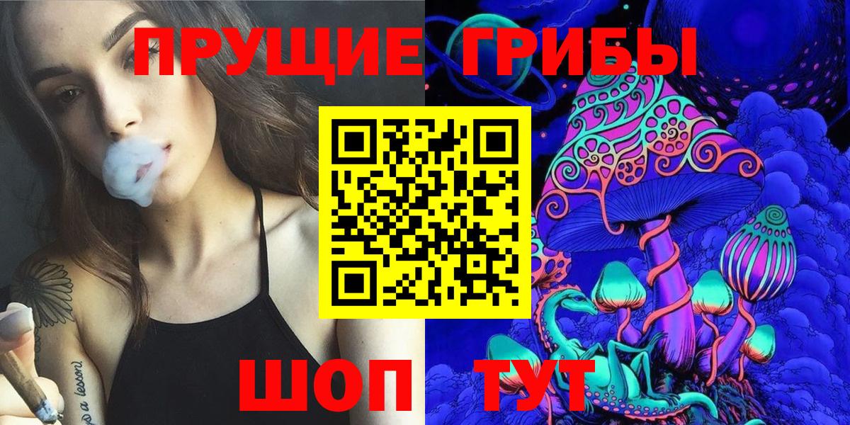 Галлюциногенные грибы GOLDEN TEACHER Апшеронск