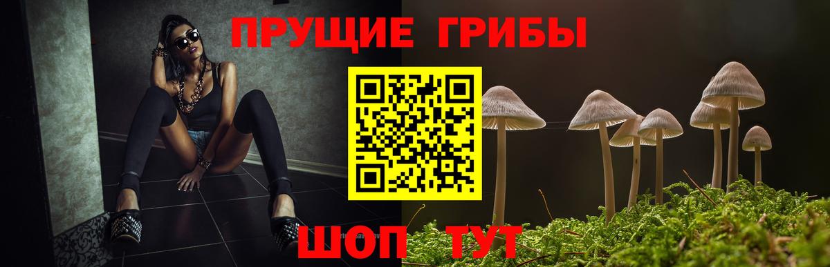 Галлюциногенные грибы прущие грибы  Вход с VPN  продажа наркотиков  Апшеронск  Псилоцибиновые грибы мухоморы 